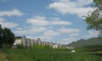深层沟通深度疗愈工作坊